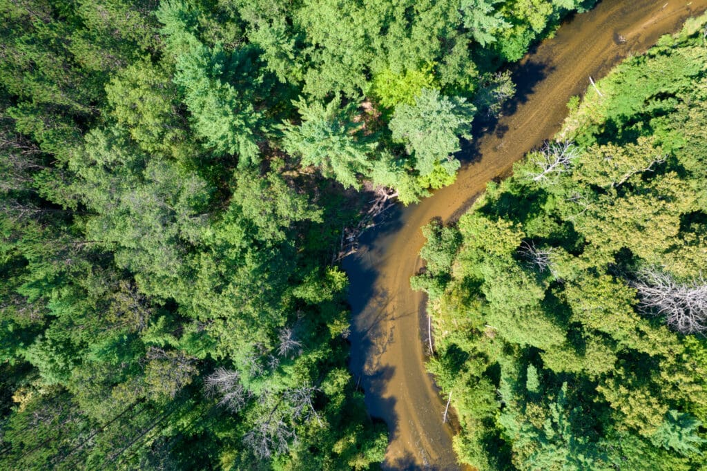 Groundbreaking Techniques Halt Erosion on Pine River - Conservation ...