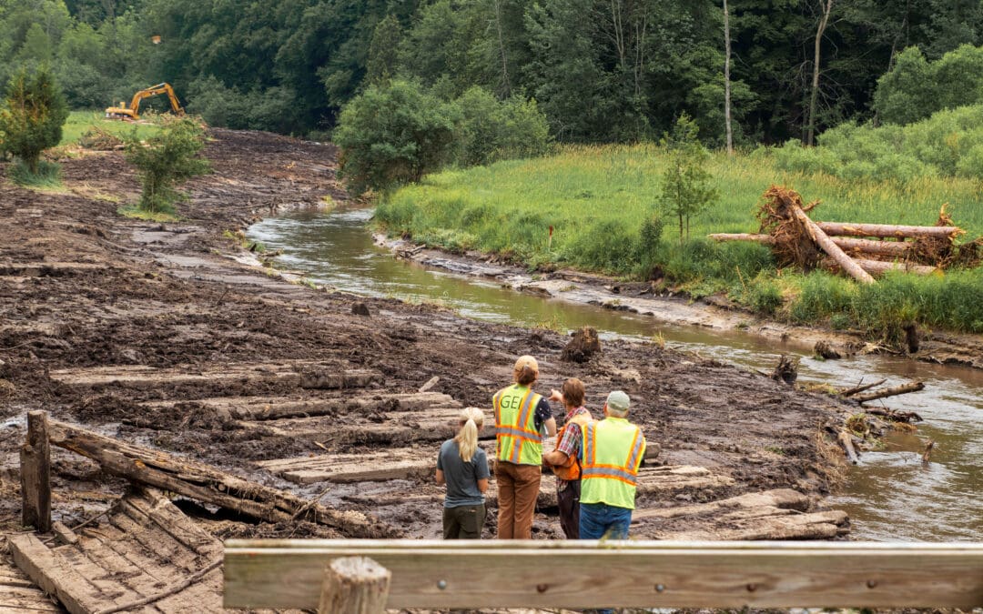 Project Introduction: Transforming Stony Creek